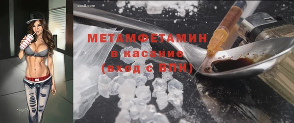 крисы Бородино