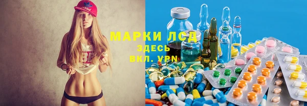 крисы Бородино
