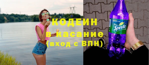 крисы Бородино