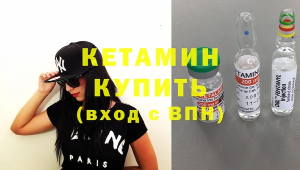 крисы Бородино