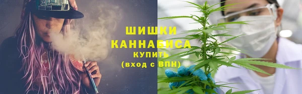 стафф Бронницы