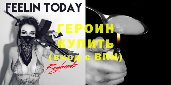 крисы Бородино