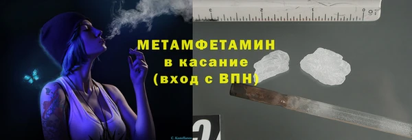 крисы Бородино