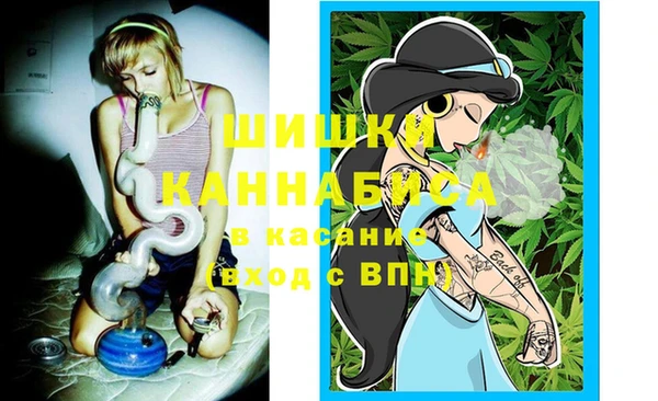 крисы Бородино