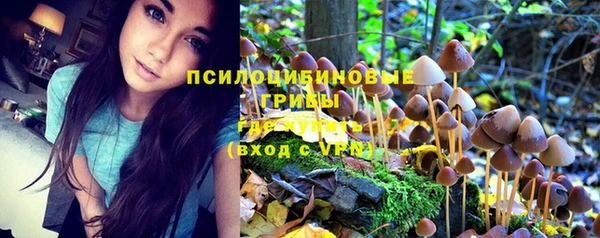 стафф Бронницы