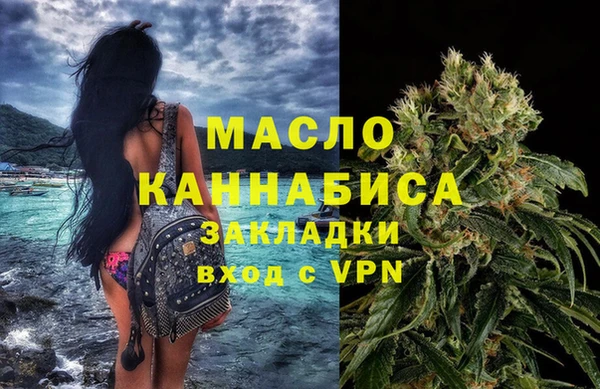 крисы Бородино