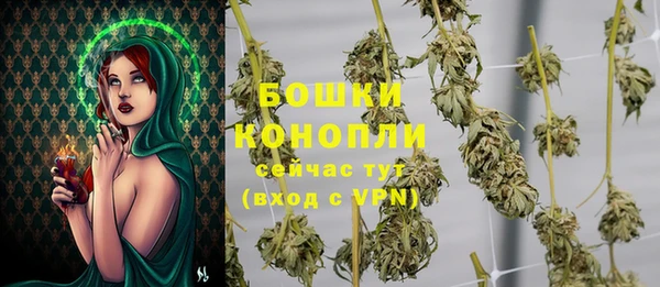 крисы Бородино