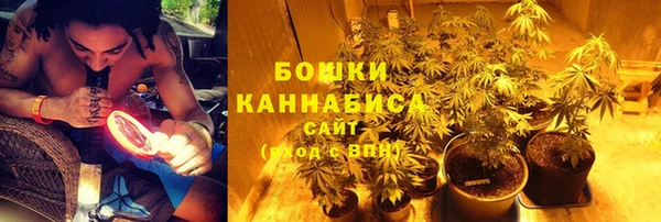 крисы Бородино