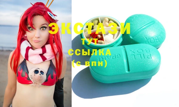крисы Бородино