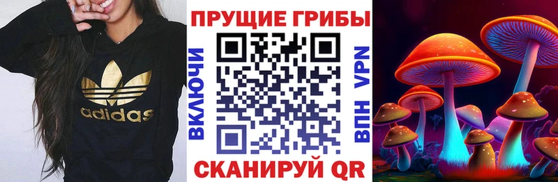 Псилоцибиновые грибы ЛСД  MEGA как зайти  Тула  купить  цена 